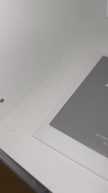 Seventeen - Face the sun version grise